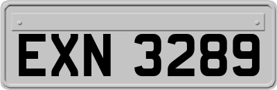 EXN3289