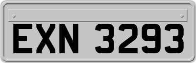EXN3293