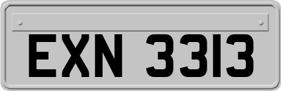EXN3313