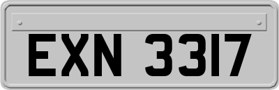 EXN3317