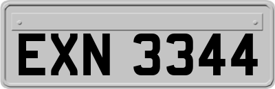 EXN3344