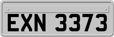 EXN3373