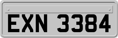 EXN3384