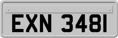 EXN3481