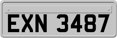 EXN3487
