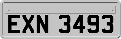 EXN3493