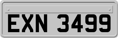 EXN3499