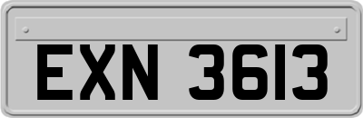 EXN3613