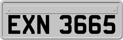 EXN3665
