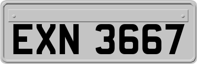 EXN3667