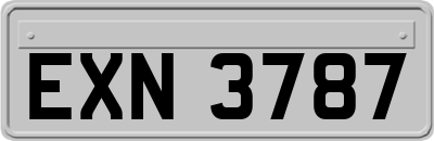 EXN3787