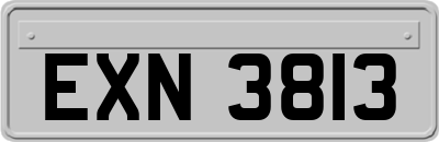 EXN3813