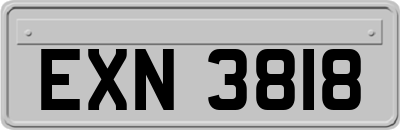 EXN3818