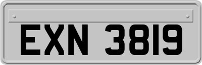EXN3819