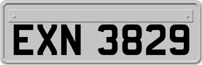 EXN3829