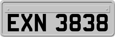 EXN3838