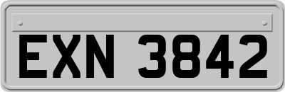 EXN3842
