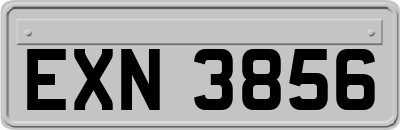 EXN3856