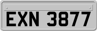 EXN3877
