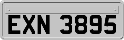 EXN3895
