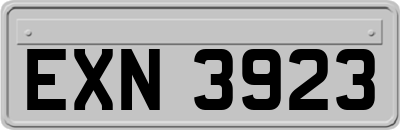 EXN3923