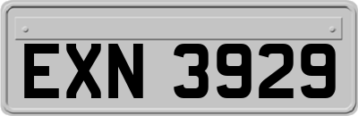 EXN3929