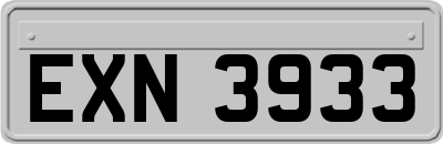 EXN3933