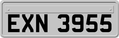 EXN3955
