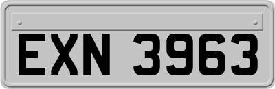 EXN3963