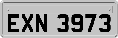 EXN3973