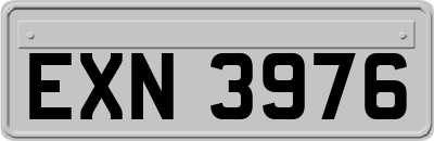 EXN3976