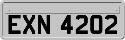 EXN4202