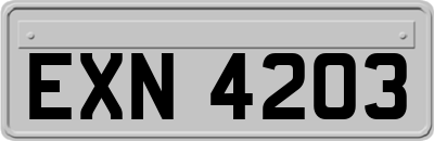 EXN4203