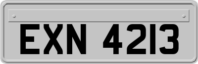 EXN4213