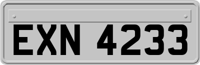 EXN4233
