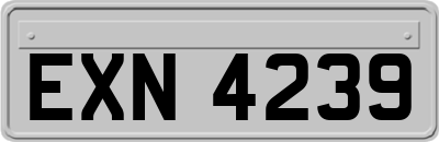 EXN4239