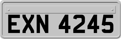 EXN4245