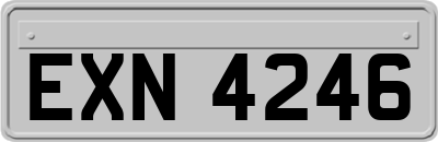 EXN4246