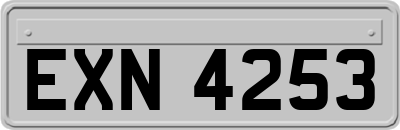 EXN4253
