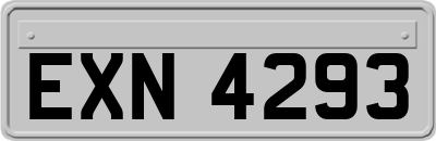 EXN4293