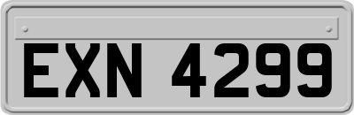 EXN4299