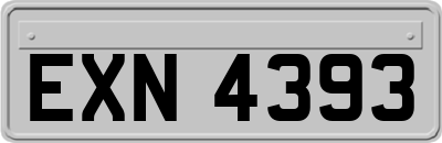 EXN4393