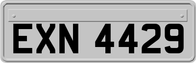 EXN4429