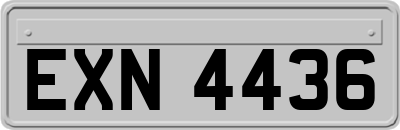 EXN4436