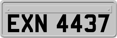 EXN4437
