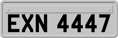 EXN4447