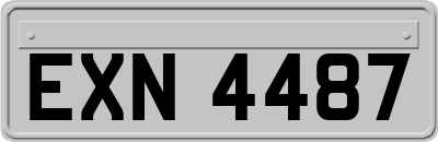 EXN4487