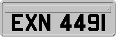 EXN4491