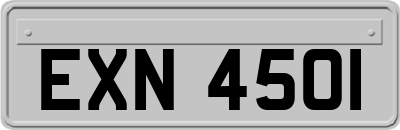 EXN4501