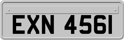 EXN4561